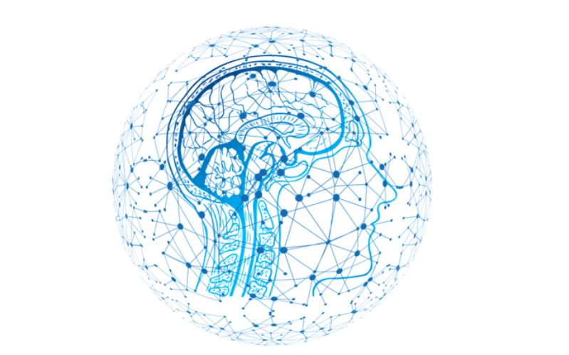 /media/news_images/2019/03/21/metaoptima-skin-lesion-classification-ai.png